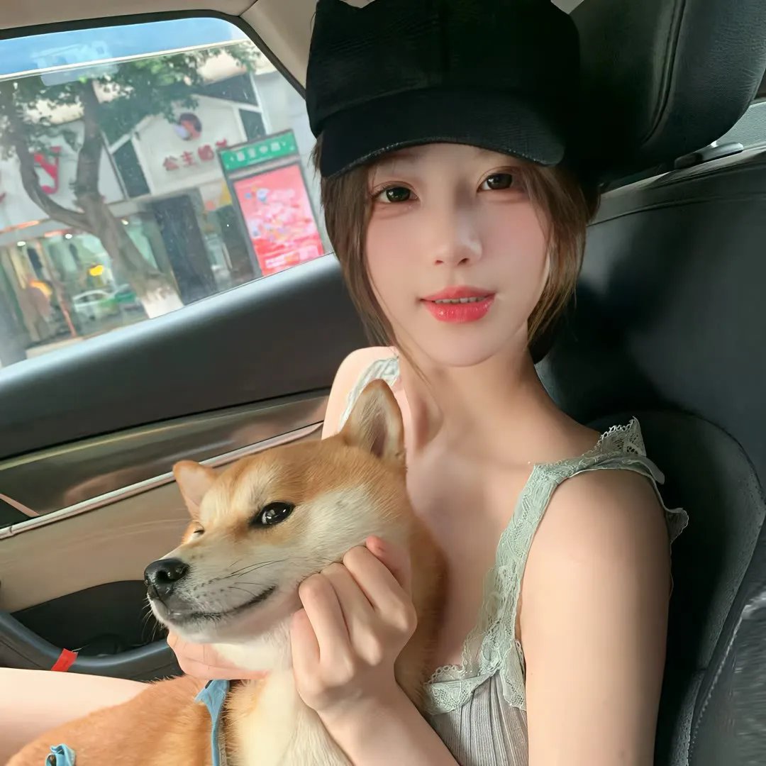 猪猪侠